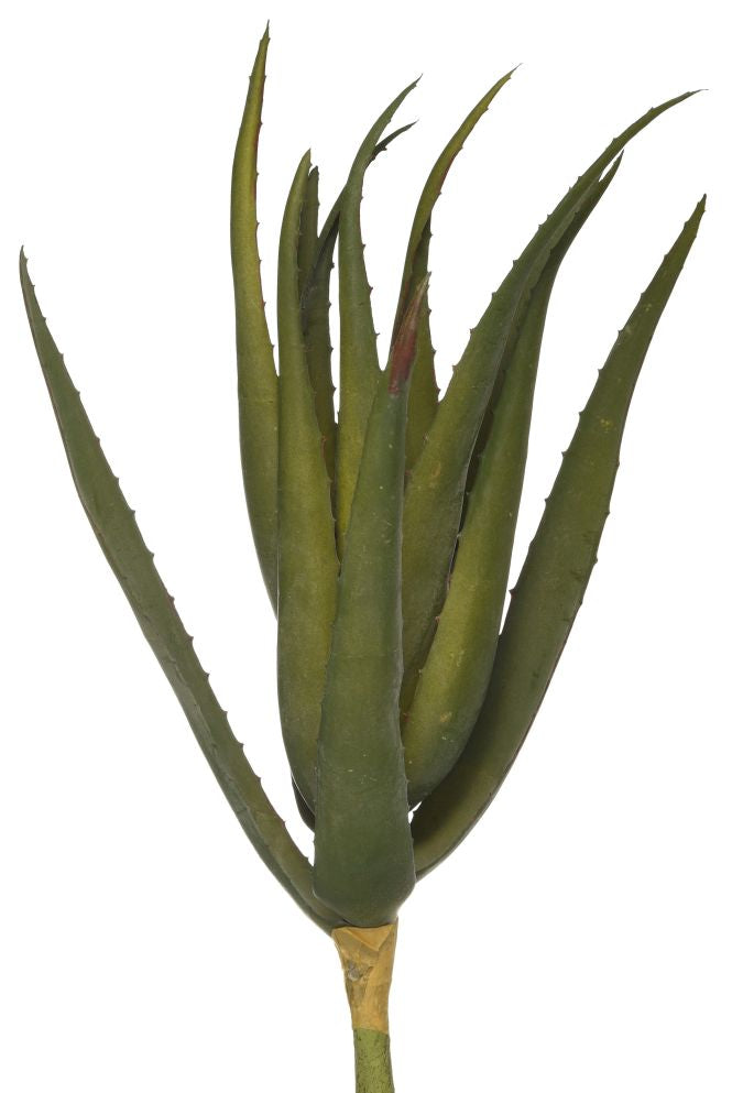 17" Aloe Stem   AV1018