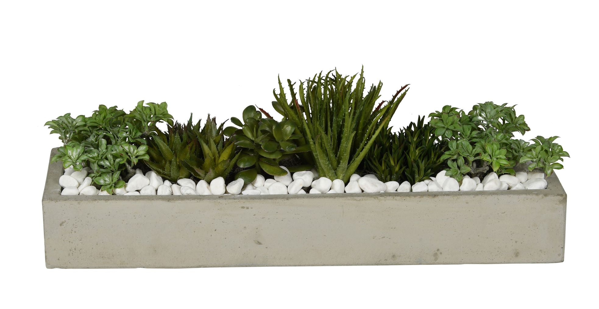 Balboa Collection Tray Planters   CN1008