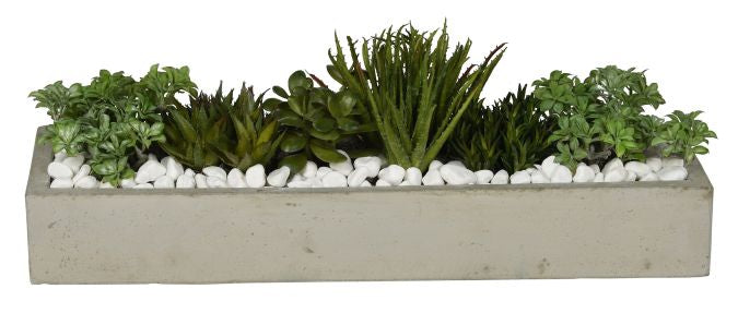 24"L Balboa Concrete Tray Succulent Arrangement   AR1078