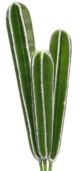 13"-17.5" Soft Peruvian Cactus (Set of 3)    CC1016
