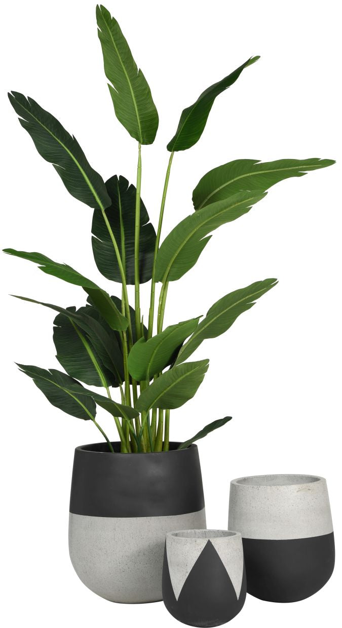 Emma Planters-Black   CN1027