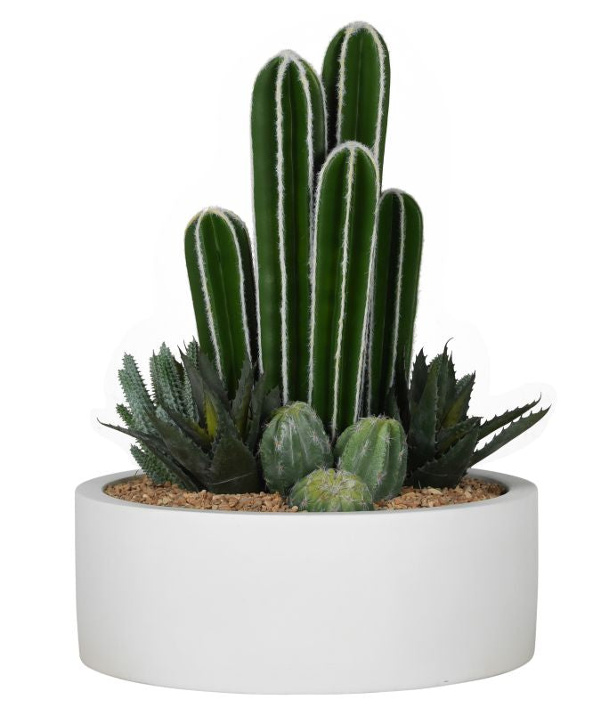 14" Morgan Bowl with Cactus Arrangement  AR1071