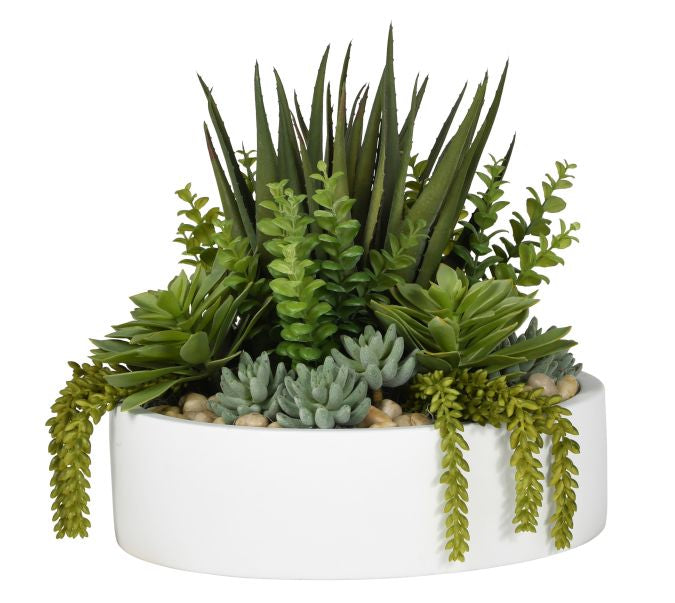 20" Morgan Bowl with Succulent Arrangement AR1023