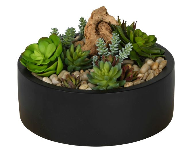 14" Morgan Bowl with Low Succulent Arrangement   AR1079