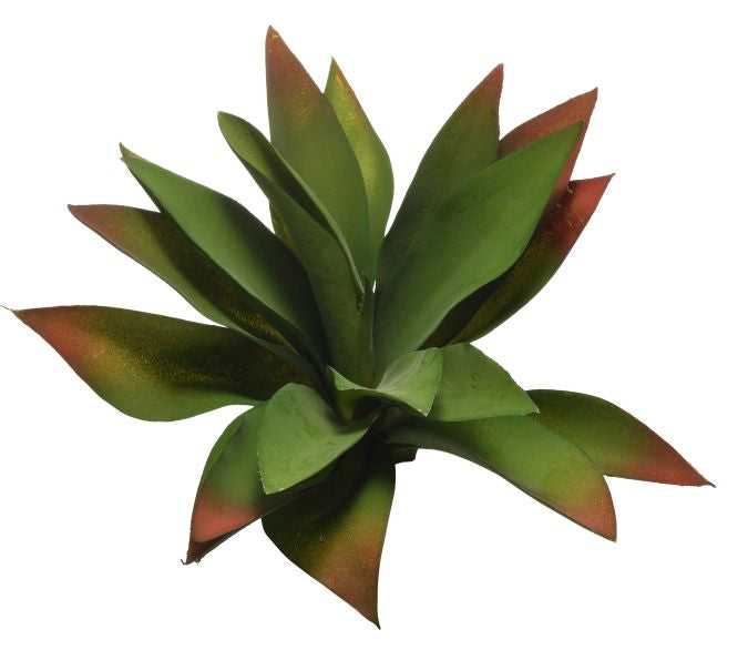 9" Green Agave Plant  SU1031
