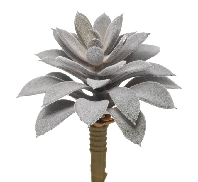 6" Succulent Pick-Grey Flocked   SU1037