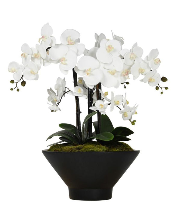 16" Ubud Planter with Orchid Arrangement AR1020