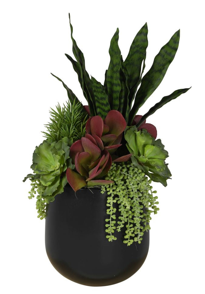 11" Abby Pot with Succulent Arrangement   AR1081