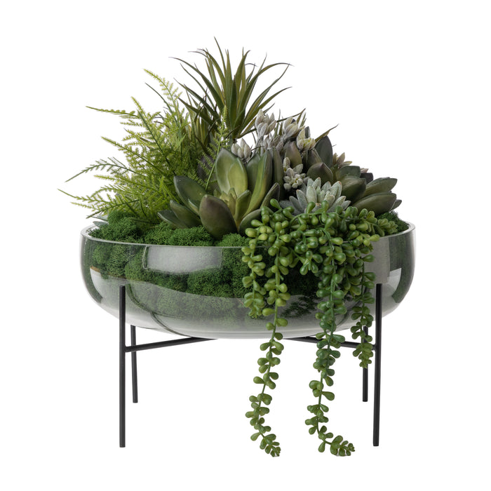 13.5” Sadie Glass Bowl with Succulent Arrangement   AR1661