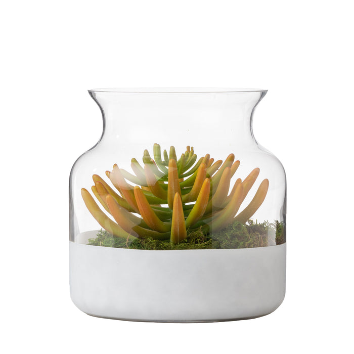 8.5" Poet Glass Vase with Succulent Arrangement   AR1664