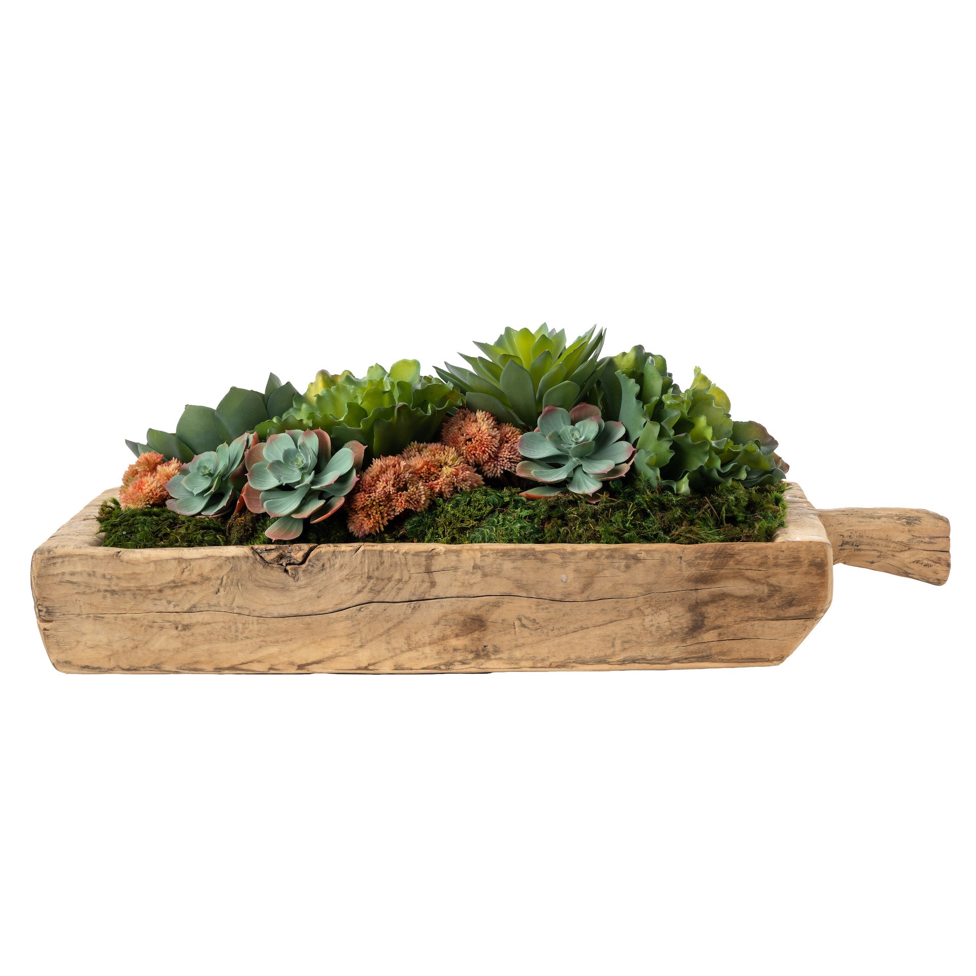 Vintage Reclaimed Wood Trough with Succulent Arrangement   AR1666