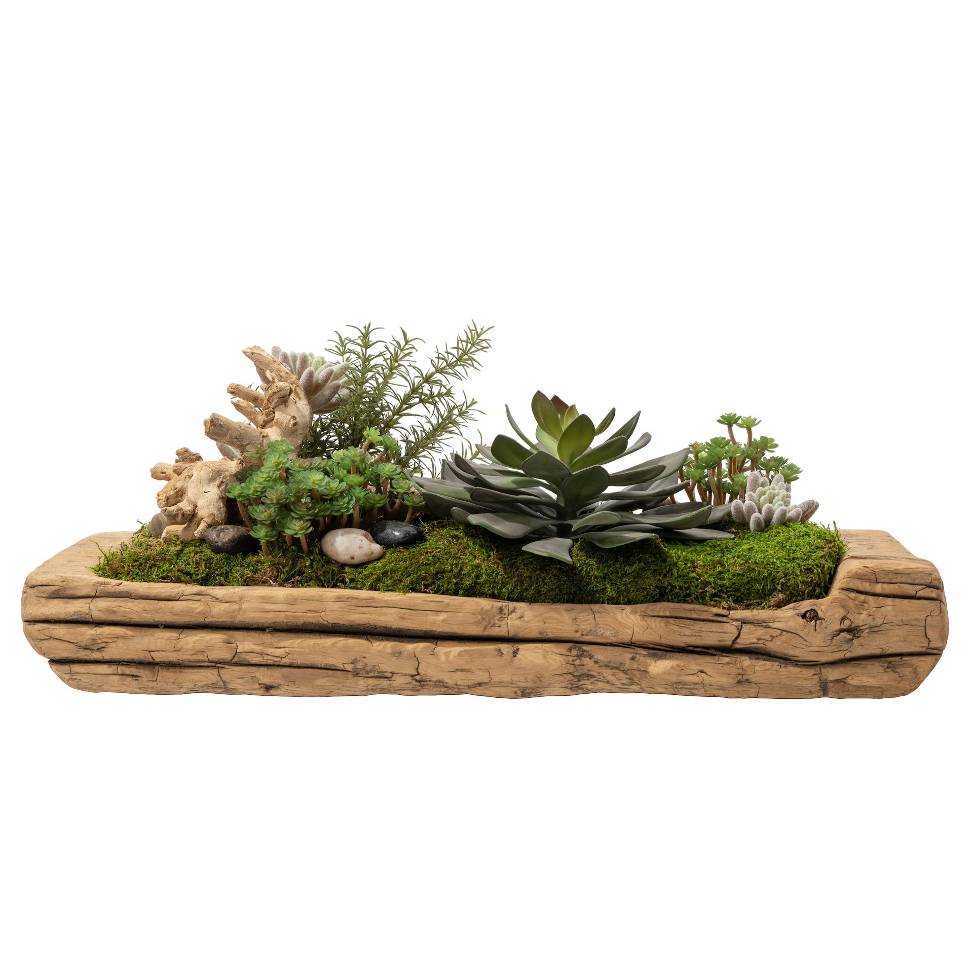 Vintage Reclaimed Wood Trough with Succulent Arrangement   AR1668