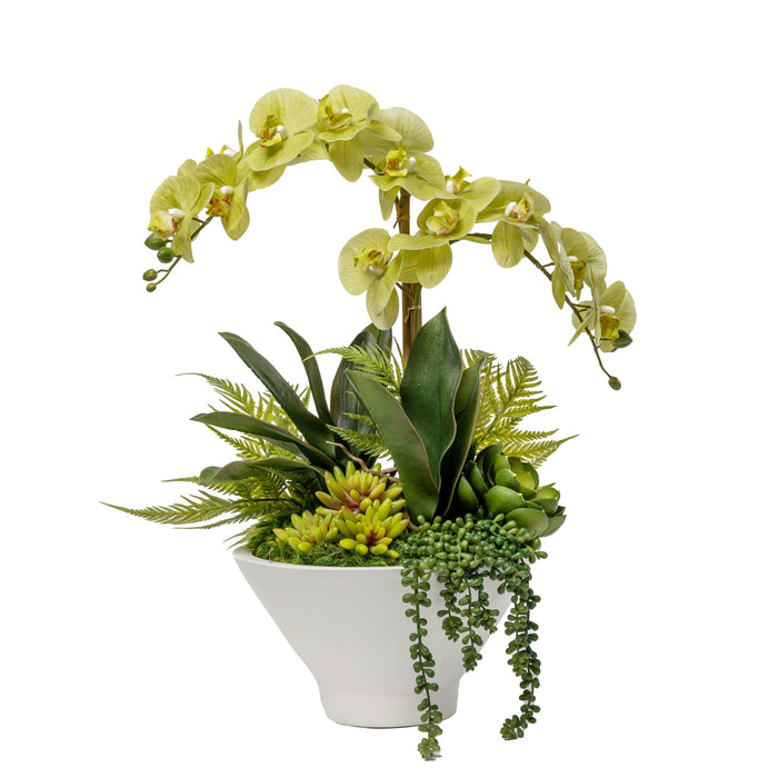 Small Ubud Bowl with Green Orchid Arrangement      AR1656